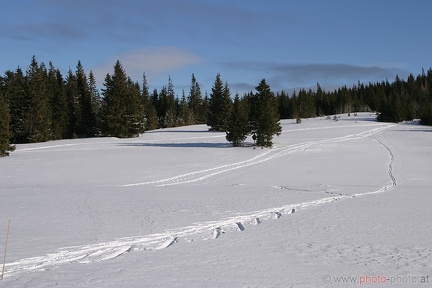 Schneeschuhwandern (20090104 0038)